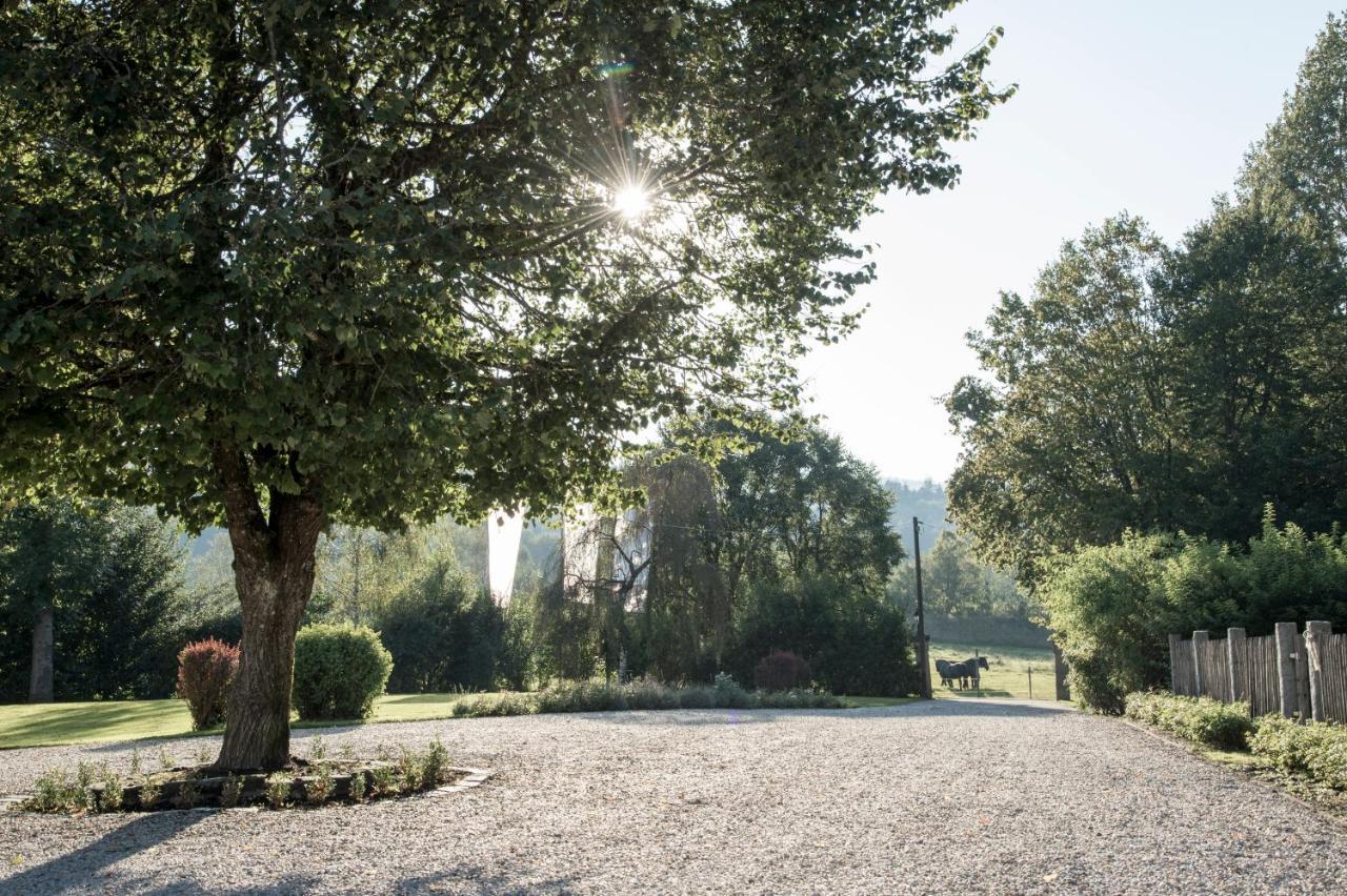 Forstgut - Premium Waldchalets Und Lodge Suiten Regen Bagian luar foto